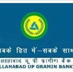 Allahabad Gramin Bank recruitment, Allahabad Gramin Bank jobs, Allahabad Gramin Bank posts, Allahabad Gramin Bank exams, Allahabad Gramin Bank po jobs, Allahabad Gramin Bank clerk jobs, Allahabad Gramin Bank, bank po jobs, bank clerk jobs, bank jobs in india, banking jobs india, bank exams in india, bank jobs update,